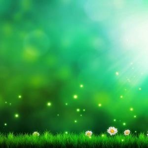 Meet your Posher, Bree